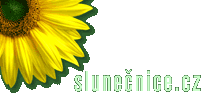 stiahni free program
